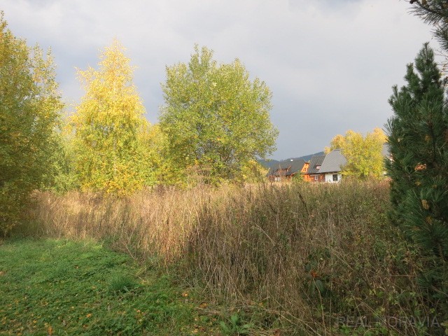 foto 7 [8/17]