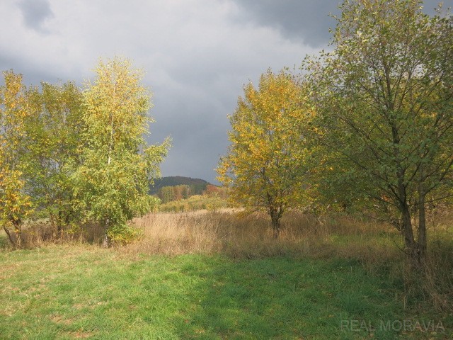 foto 9 [11/17]