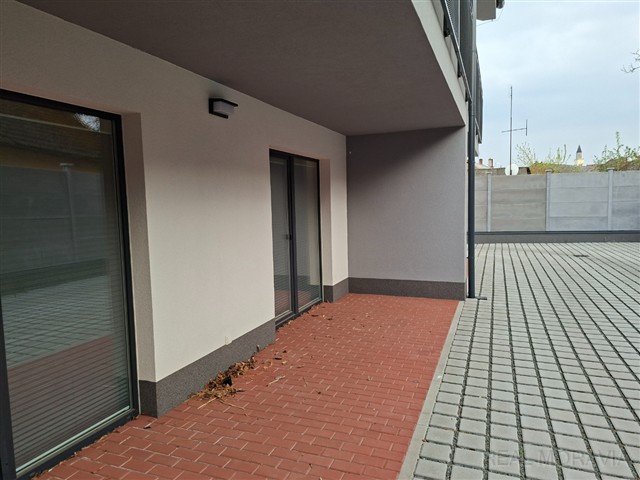 foto 12 [12/21]
